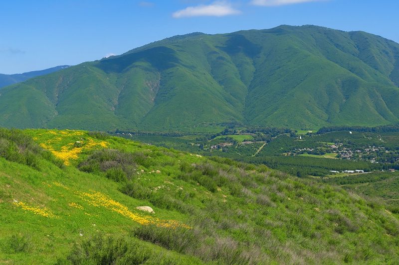 Best Bathtub Installation pros in Valley Center, CA